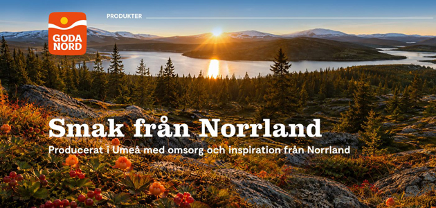 сайт Goda Nord